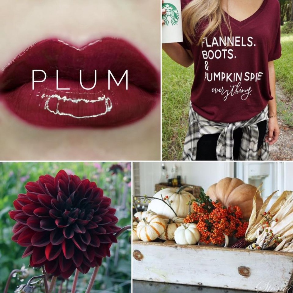 Plum LipSense